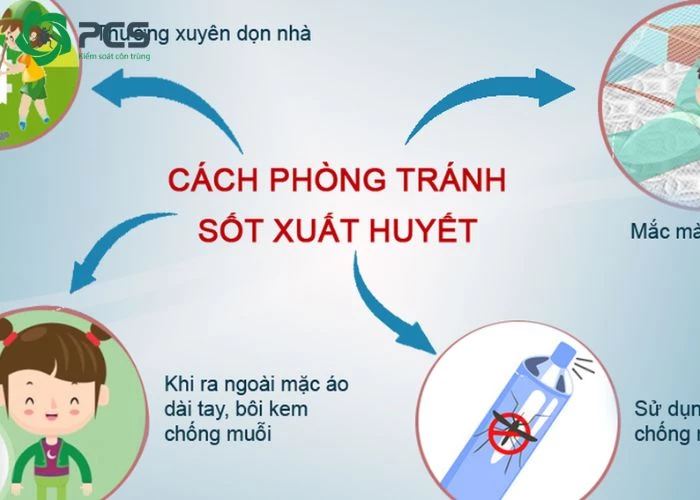 bị muỗi vằn đốt có bị sốt xuất huyết không